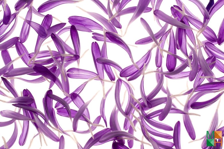 Tranh dán tường phòng ngủ đẹp tại Hà Nội FW - 034